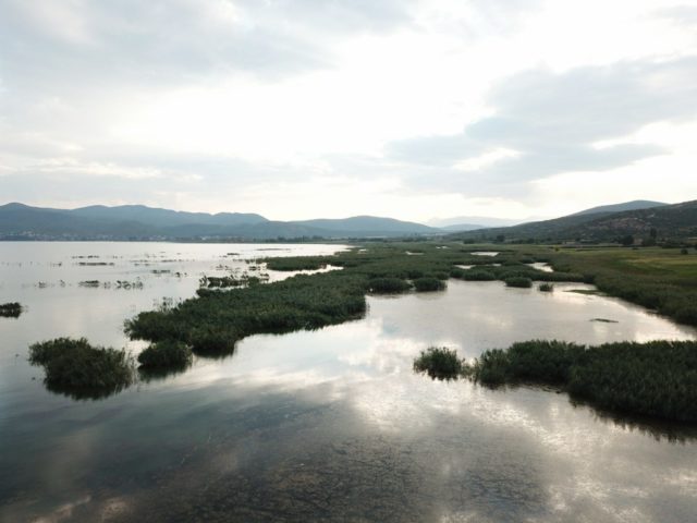 Enhancing Dojran Lake Unique Biodiversity through Engagement of all Stakeholders and Implementation of Ecosystem – Based Approaches