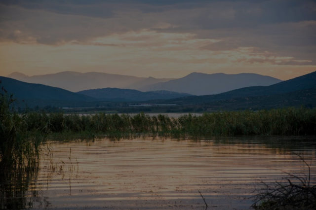 Enhancing Dojran Lake Unique Biodiversity through Engagement of all Stakeholders and Implementation of Ecosystem – Based Approaches